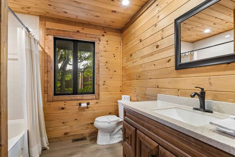 Bathroom on the Lower Level