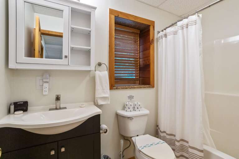 Lower Level Full Bathroom