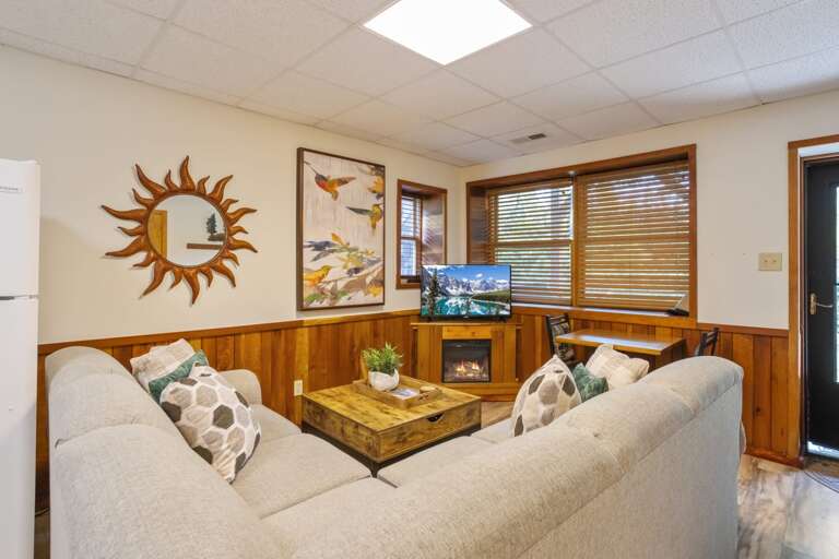 Lower Level Second Living Area