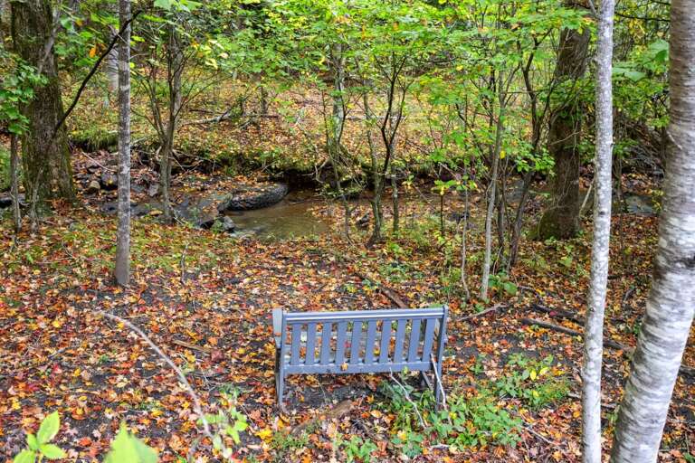 Sitting Bench at the Creek