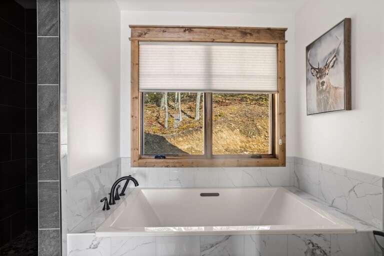 Master Bathroom Soaking Tub