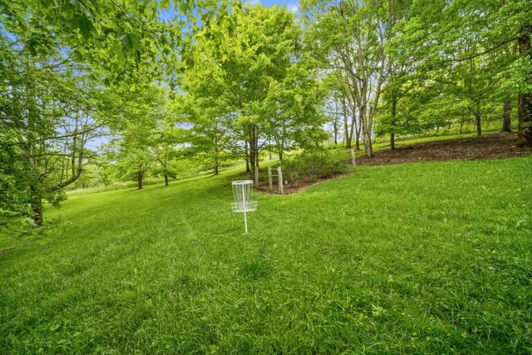 Disk Golf Goal in the Sprawling Yard