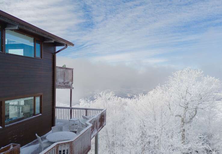 OMG What A View Winter Wonder