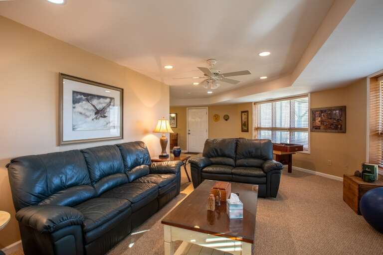 Lower Level Family Room with Shuffleboard and TV