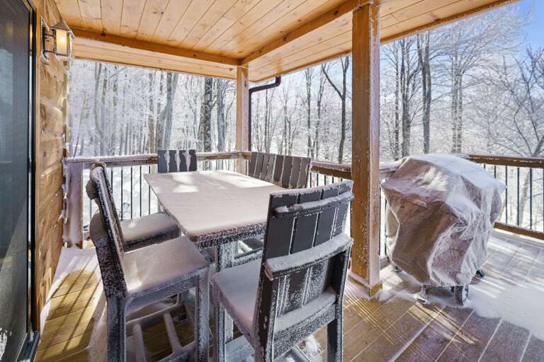 Covered Outdoor Dining an Gas Grill