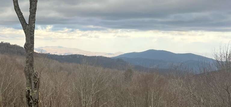 Long Range Views From the Deck