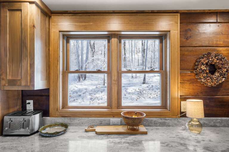 Winter View from the Kitchen Window