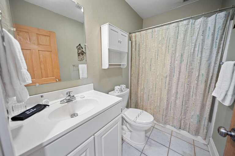 Lower Level Bathroom with a Tub and Shower Combo