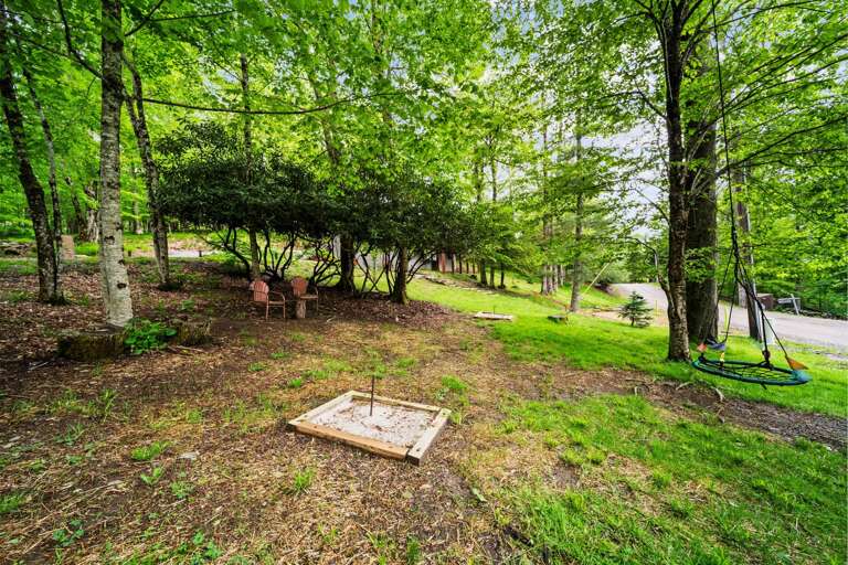 Horse Shoe Pit and Tree Swing