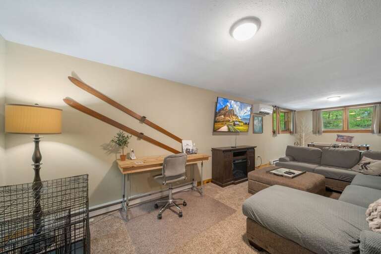 TV, Desk and Dog Crate in the Den