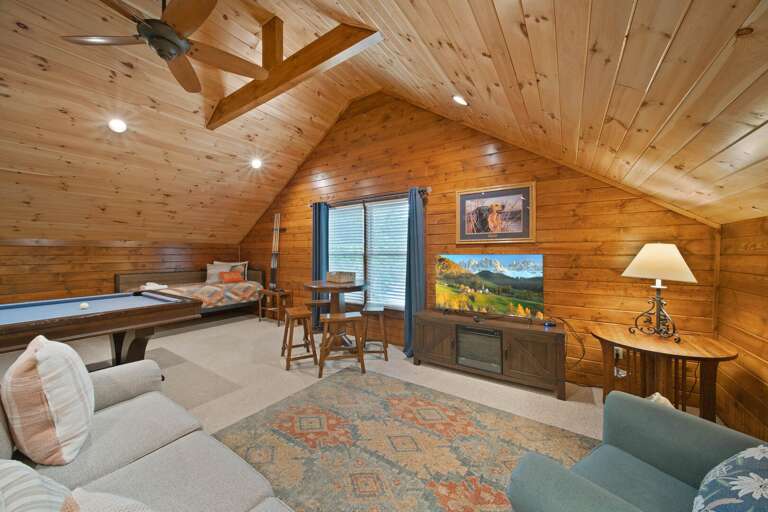 TV Area, Electric Fire Place TV Stand, Queen Day Bed