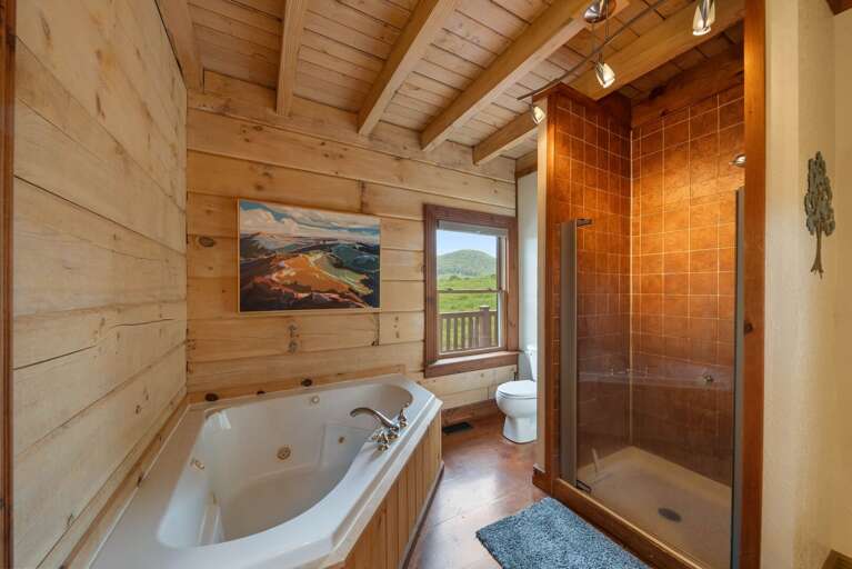 Soaking Tub and Step-In Shower in the Master