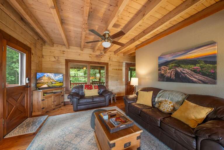 TV in the Living Room