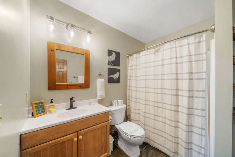 Lower Level Shared Bathroom