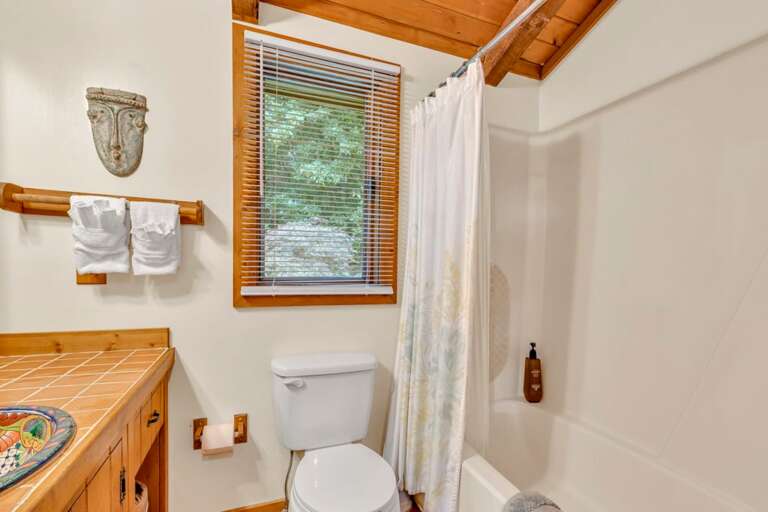 Tub and Shower Combo