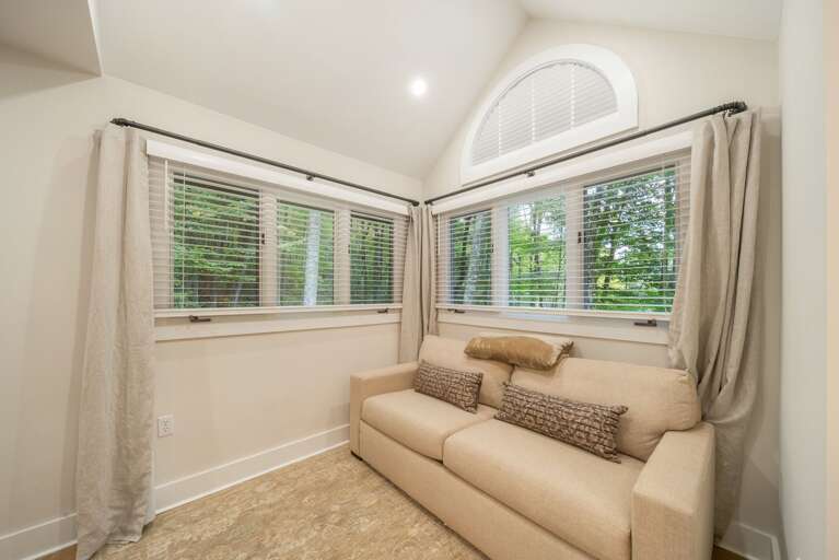 Queen Pull-Out Sofa in the Master Bedroom Queen Pull-Out Sofa in the Master Bedroom