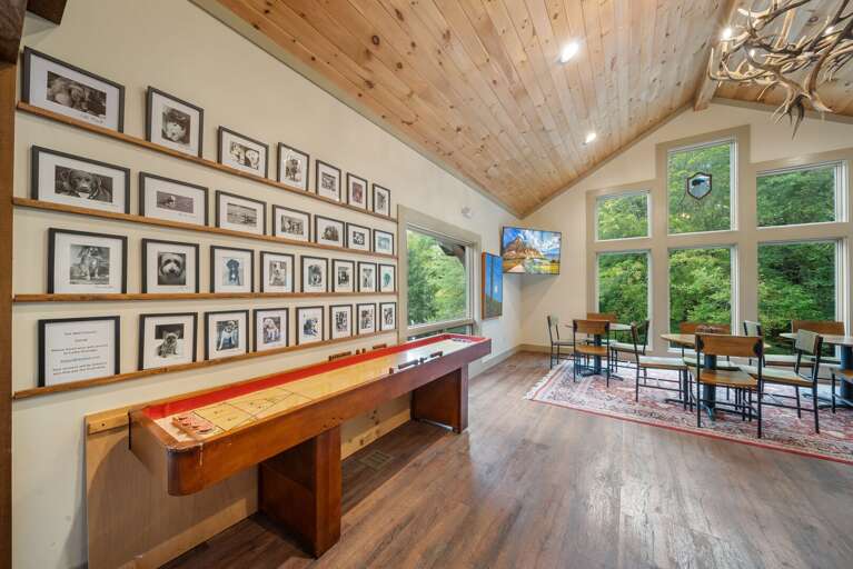 Shuffleboard Game in the Bar Shuffleboard Game in the Bar