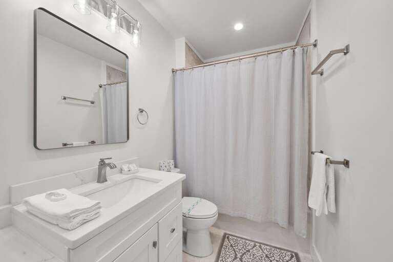 Full Lower Level Bathroom