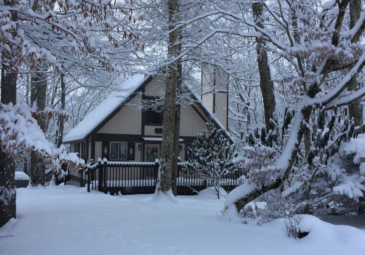 Dogwood Retreat at Beech