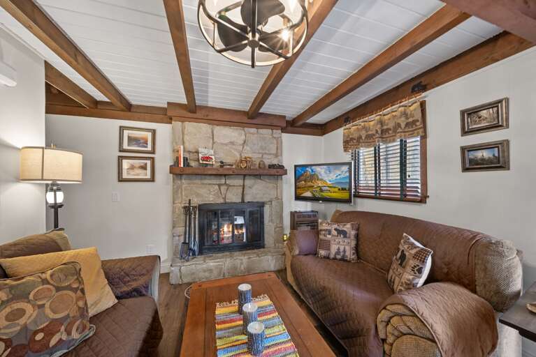 Gas Fireplace and TV in the Living Room