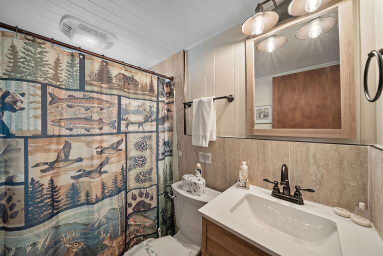 Main Level Hallway Bathroom with Step In Shower