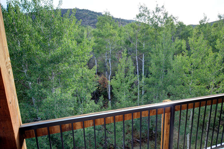 Bear Hollow Lodges 3401: Balcony views