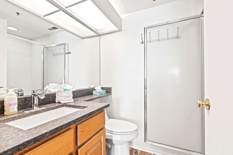 Powderwood 12N: Sleek sink, mirror, toilet, and shower in modern design.
