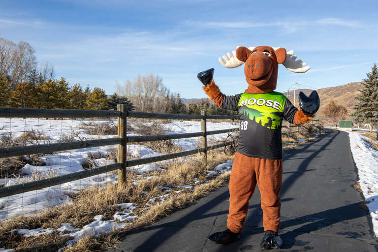 powderwood 3w moose_7