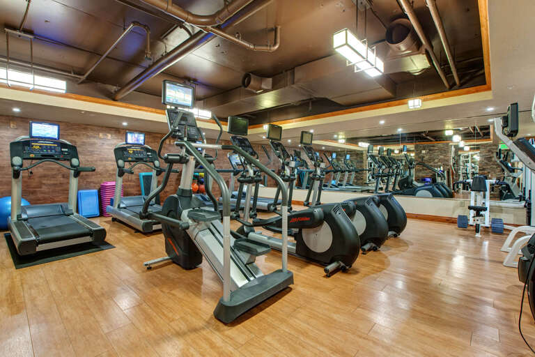 A well-equipped fitness center awaits with treadmills, ellipticals, and strength training equipment. Stay active with modern cardio machines and weights during your stay.