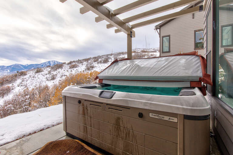 Deer Springs 12797 Winter Deer Springs 12797 Winter