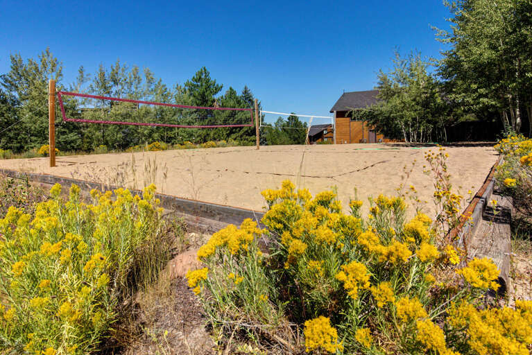 Sunny sand volleyball court set among wildflowers and trees, with the property building visible beyond—a fun outdoor recreation spot to enjoy during your stay.