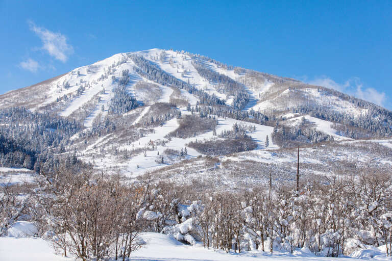 Snow-draped mountain landscape showcases pristine ski slopes and evergreen forests beneath a crisp blue winter sky, part of the scenic natural surroundings near the property.