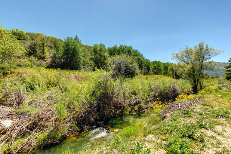 Prospector 627 by Moose Management