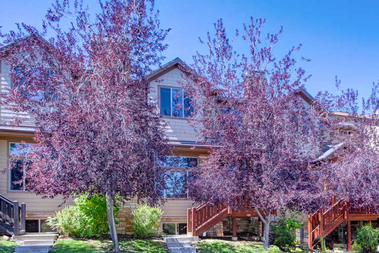 Bear Hollow Village 5667 by Moose Management