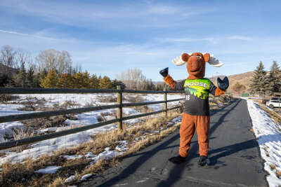 Patrick C Moose on the Walking/Biking Trails at Powderwood Pines