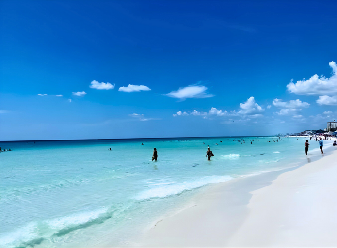 Enchantment by the Sea