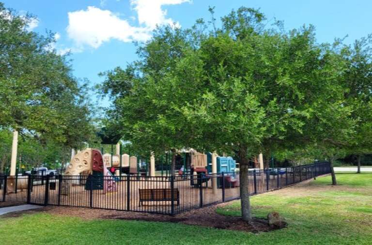 Fenced Playground Under Sunlit Trees