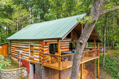 Pine Knot Cabin