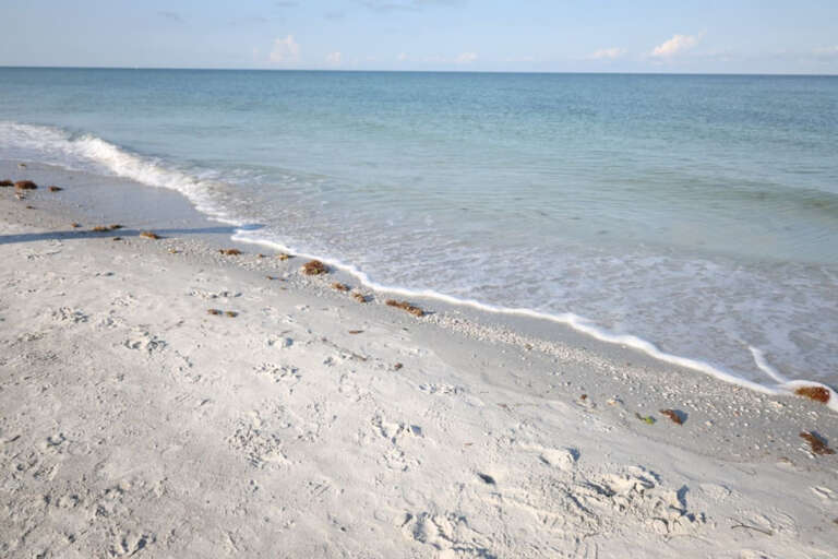 AdobeStock_505009208