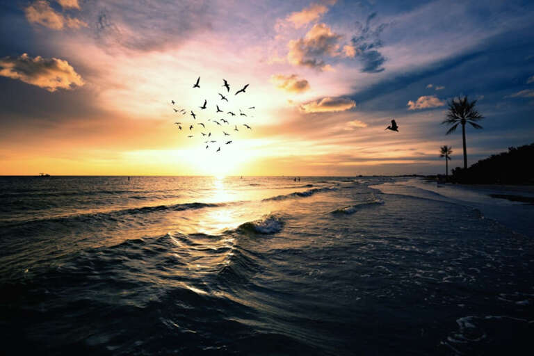 AdobeStock_217048904