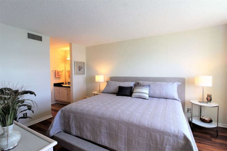 Master Bedroom with King Size Bed