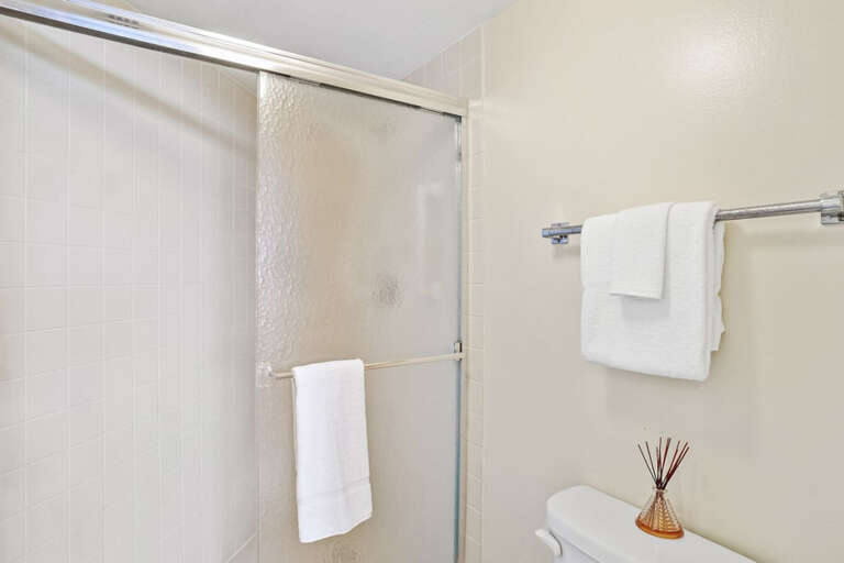 Master Shower Master Shower
