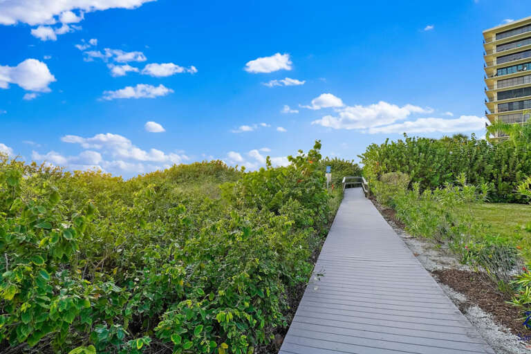 Walkway by Water Walkway by Water