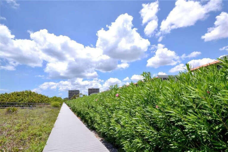 Walkway by Water 2 Walkway by Water 2