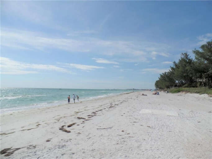 Sandy Shores of the Beach Sandy Shores of the Beach