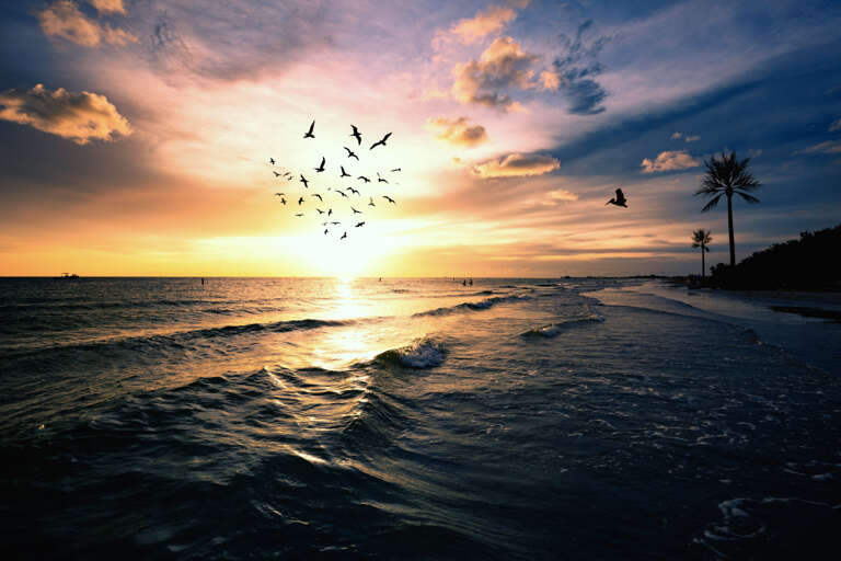 AdobeStock_217048904.jpeg AdobeStock_217048904.jpeg