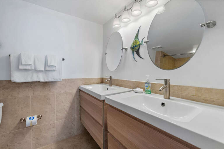 Master Bathroom Double Vanity