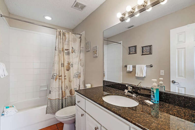 Master Bathroom with Step in Shower Master Bathroom with Step in Shower