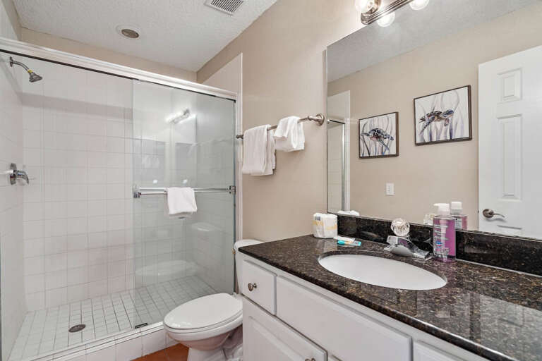 Guest Bath with Step in Shower