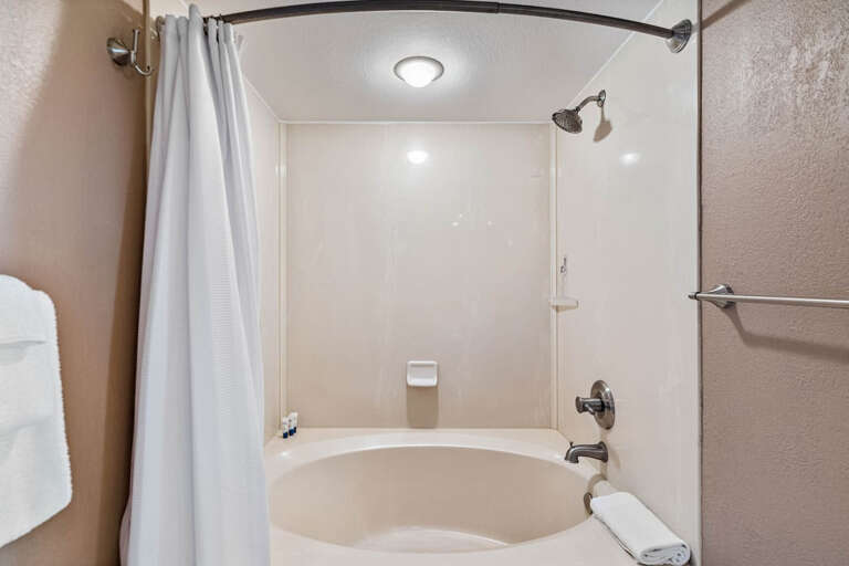 Master Tub/Shower